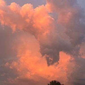 Meet your Posher, Molly